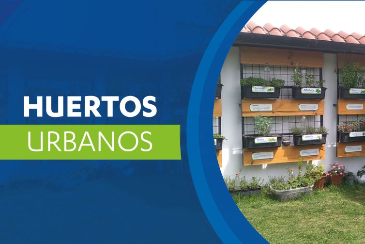 huertos urbanos